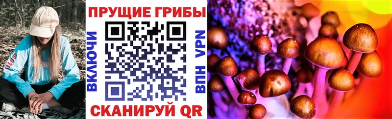 Галлюциногенные грибы GOLDEN TEACHER Азов